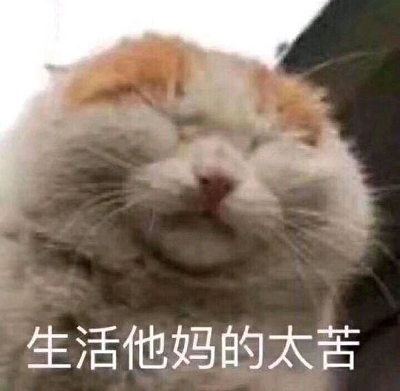 找工作太难了论坛有大佬提一手吗？能吃苦-1.jpg