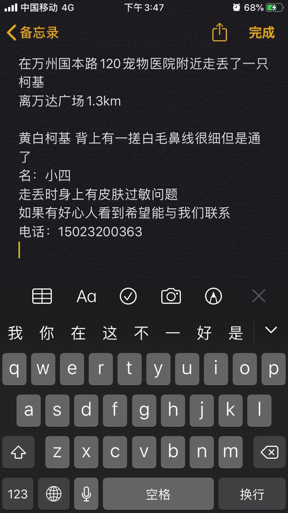 找狗 一岁母柯基 黄白 背上一撮白毛-1.jpg