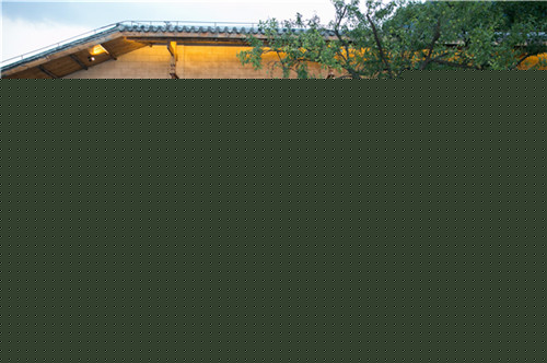 重庆有名的零基础瑜伽教练学校-1.jpg