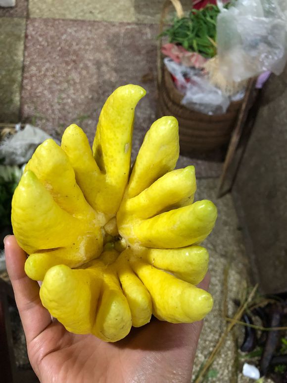 这个是什么东西！干什么用的！-6.jpg