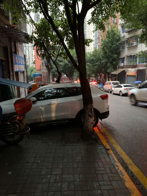交警和市政的为何没有人来管？！-2.jpg