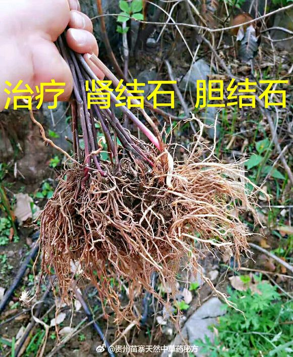 万州朋友好-3.jpg