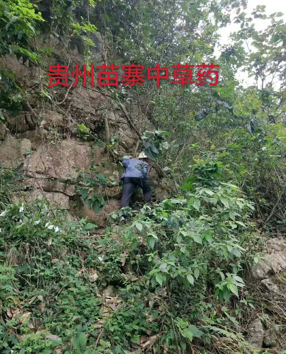 万州朋友好-4.jpg