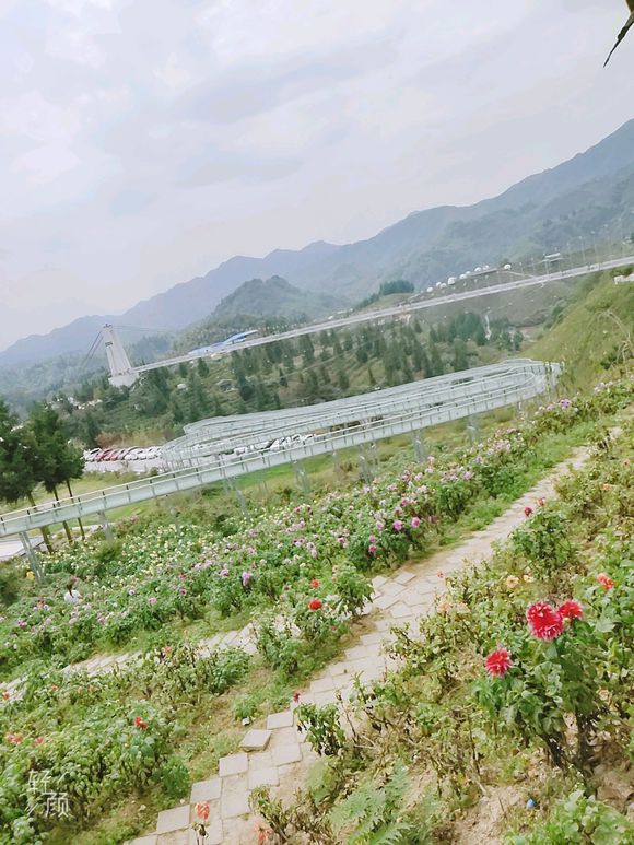 不想委屈爱情-1.jpg