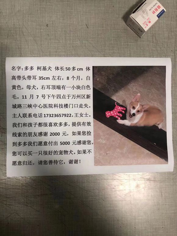 万州的朋友们，感谢你们，帮忙留意一下，帮毛孩子找到自己的家！-1.jpg