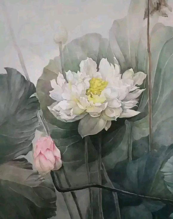 小姐姐美术专业毕业，想尝试做一个绘画老师，无偿几个绘画新人入-3.jpg