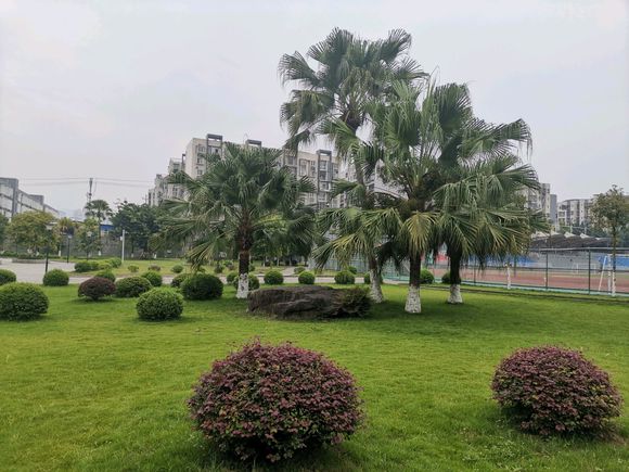 万州现在哪买房子好啊，未来城怎么样，81平方按揭下来90万！-1.jpg