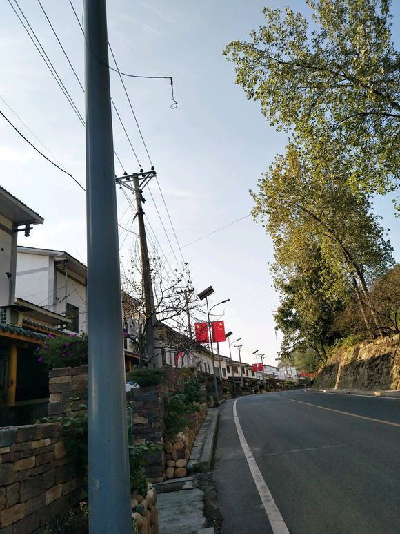 万州有哪些地方可以拍那种一大片银杏-1.jpg