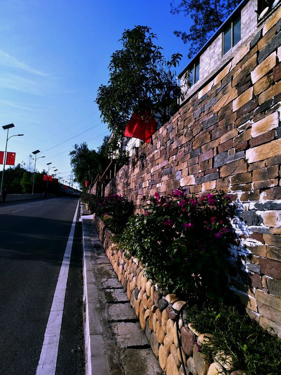 万州有哪些地方可以拍那种一大片银杏-1.jpg