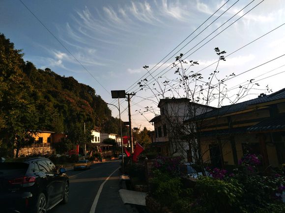 万州有哪些地方可以拍那种一大片银杏-1.jpg