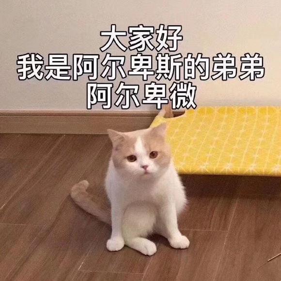 约拍‼️‼️‼️我拍你‼️要年轻男生-3.jpg