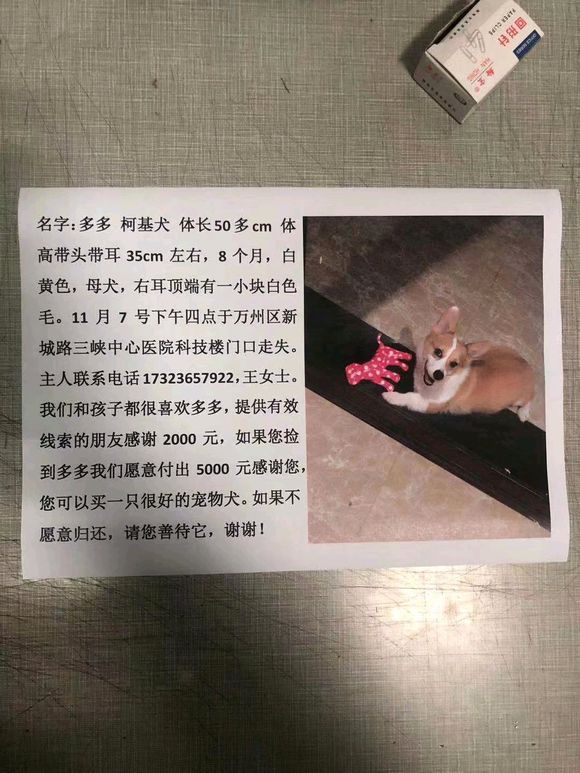 寻狗启示  拜托万州的兄弟姐妹们留意下了-1.jpg