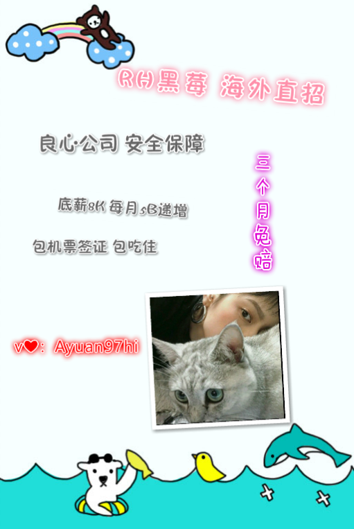 找一份工作，倾向于自媒体方面但是现在才开始自学或者工资在3k-1.jpg