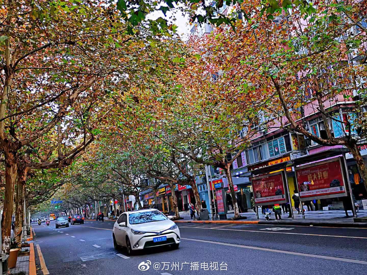 df709993ly1g9nyi1p2jyj21400u0gvi.jpg