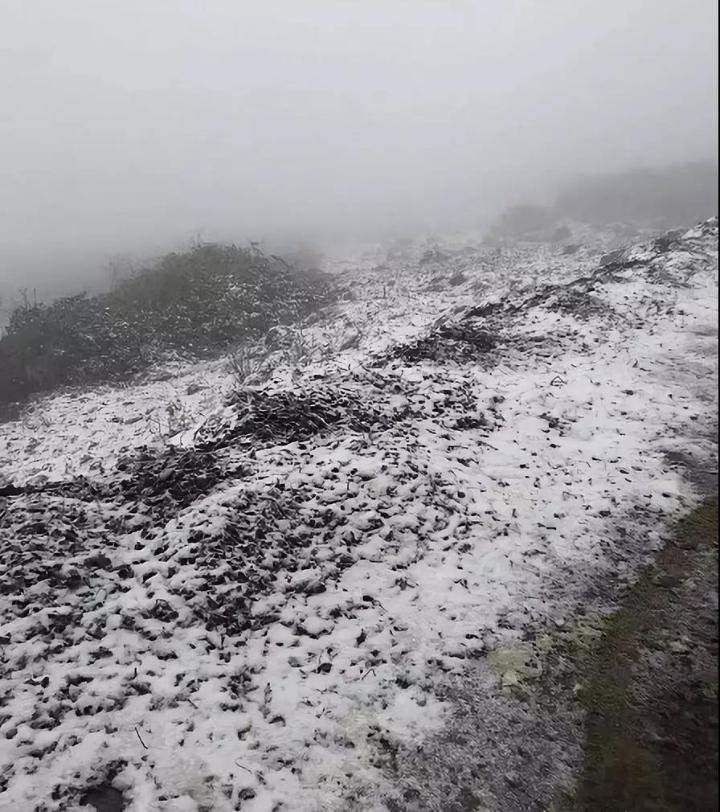 万州下雪啦！