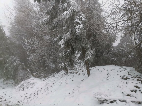 齐岳山可以滑雪了-1.jpg