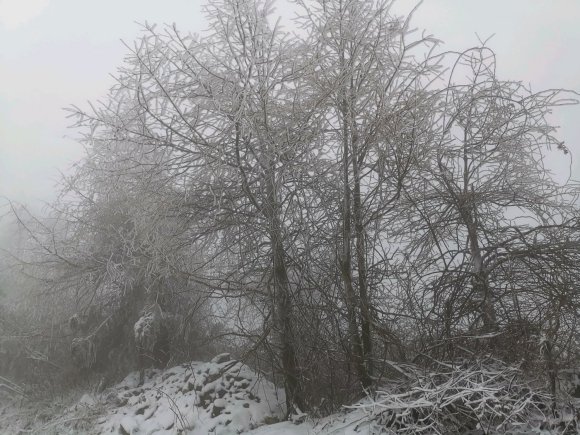 齐岳山可以滑雪了-2.jpg