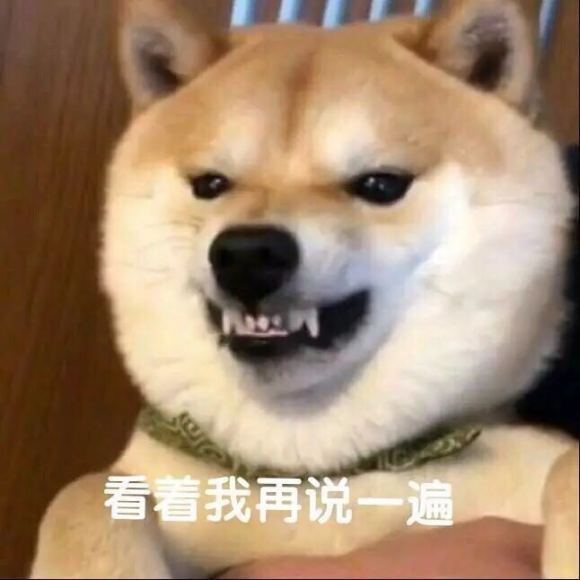 兄弟盟有微信聊天群么  请拉我-1.jpg