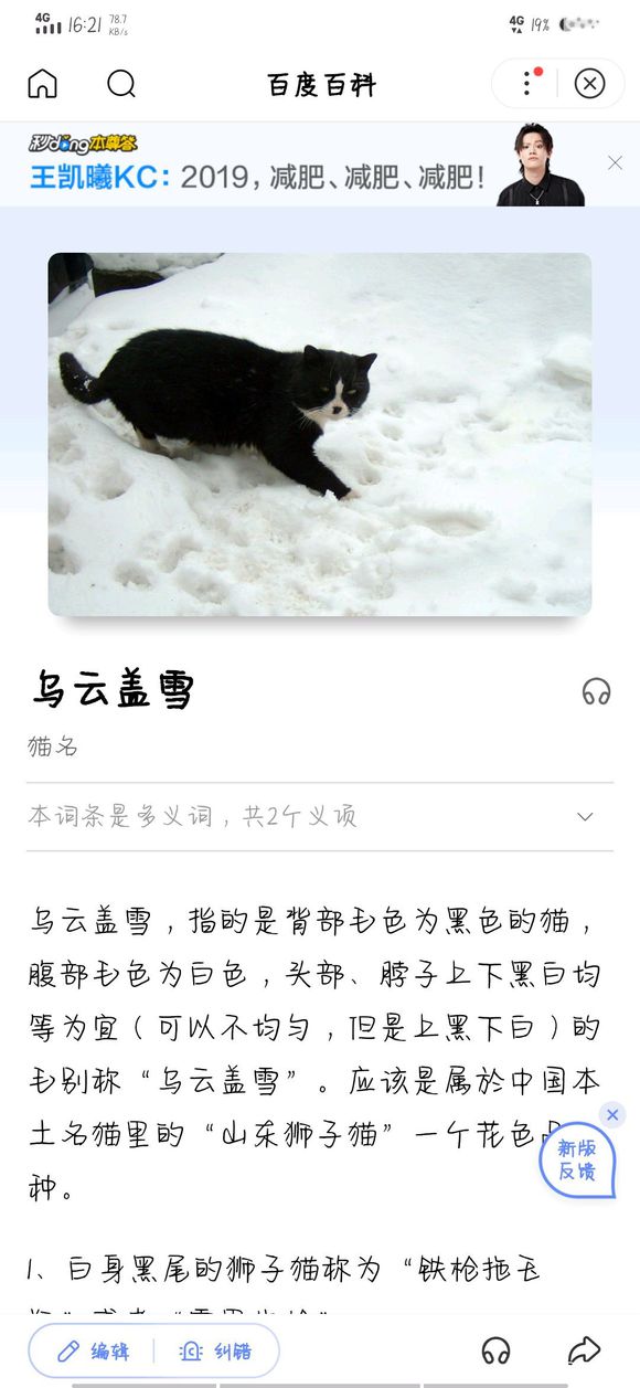 有没有这种乌云盖雪猫  我想买一只  感谢-2.jpg
