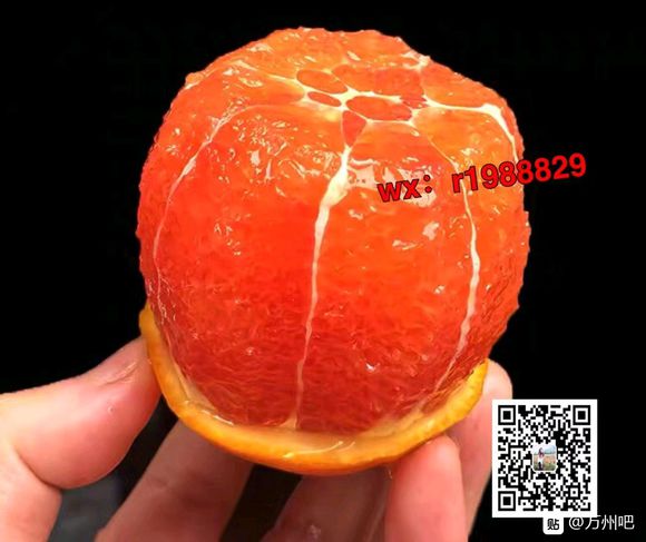 管理勿删，自古人情债最难还，卖几箱后我自己删说出来你可能不相-3.jpg