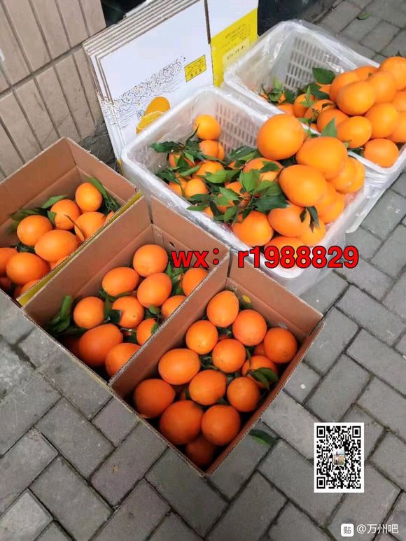 管理勿删，自古人情债最难还，卖几箱后我自己删说出来你可能不相-5.jpg
