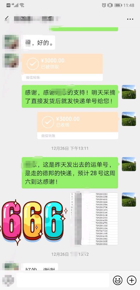 #奉节脐橙#自家脐橙-1.jpg
