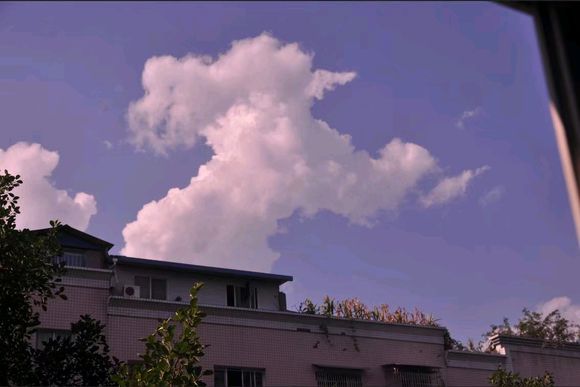 万州随拍-4.jpg
