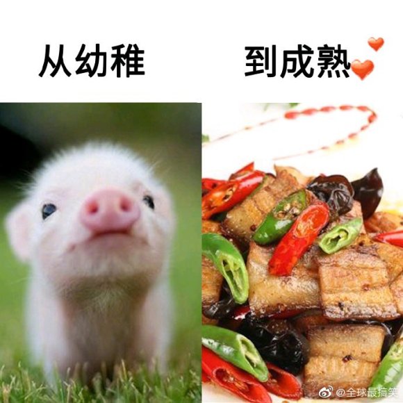 明天有没有万州去成都的会开车的最好，一个人开了1000多公里-4.jpg