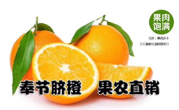 准备年货的注意了《奉节脐橙》产地直销、顺丰包邮 185805-2.jpg