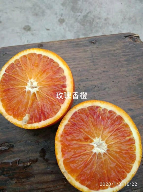 玫瑰香橙 便宜卖了 上门自取 采摘更便宜-4.jpg