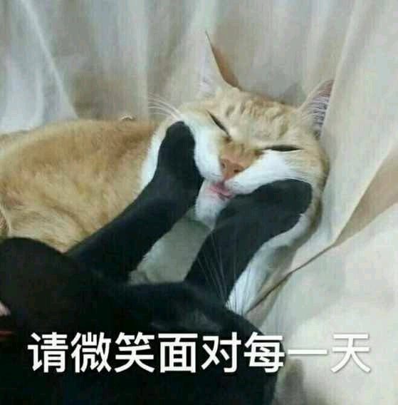 谁有搬家公司或者个人的联系方式啊，一趟车就能带走，没有家具，-1.jpg