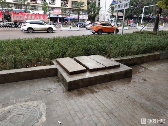 五桥，万川大道香山菜市场口口，这个旱井有个狗狗掉下去了，有没-4.jpg
