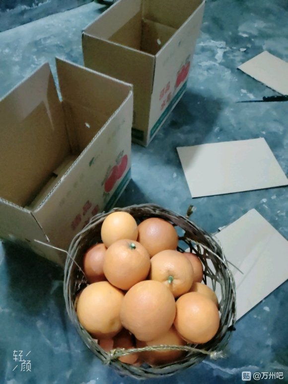 玫瑰香橙，可以现摘现卖哦口口留香哦！！需要的亲联系我-5.jpg
