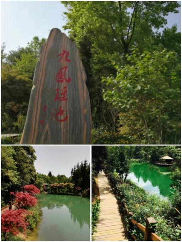 培根源《刨猪汤》盛宴！-1.jpg