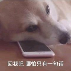 本人白天是有工作的 晚上八点下班 想找一份晚上合适的兼职 各-1.jpg