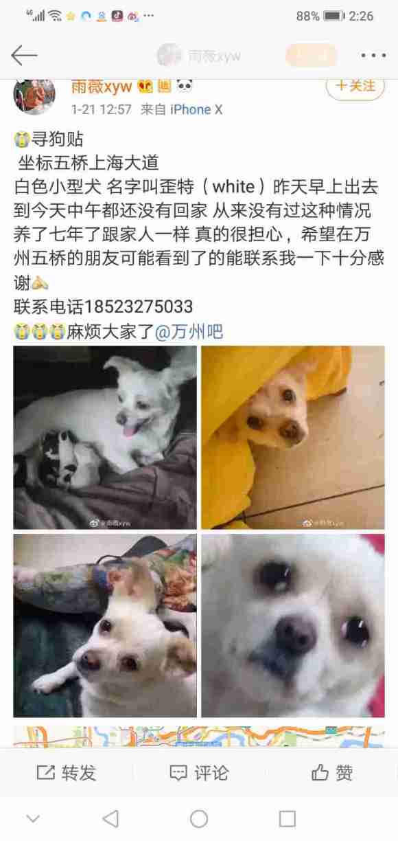 有住在万州五桥的吗？麻烦周边看看吧，养了七年了，一直很乖，怕-1.jpg