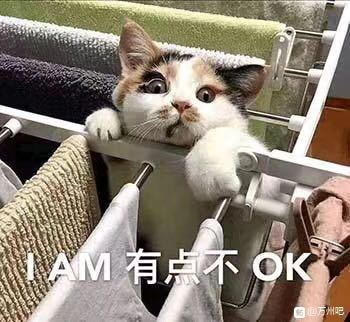 各位！万州火车站附近还有没有口罩卖了可以自提-2.jpg