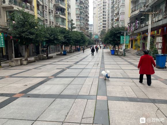 这样封闭小区有什么作用？外面到处都是人-3.jpg