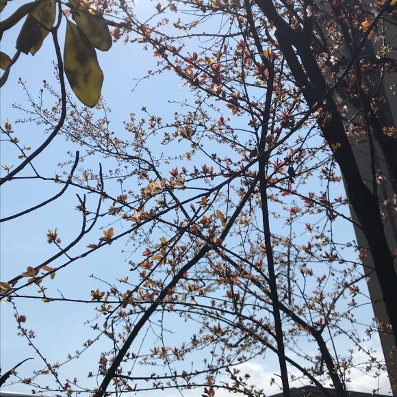 问哈，现在从万州到重庆，过两天再回万州，需要隔离吗？还有，高-1.jpg