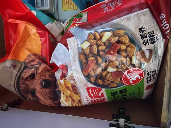 万州二哈3个月，买来工作原因不能照顾他，寻有爱心责任心主人-1.jpg