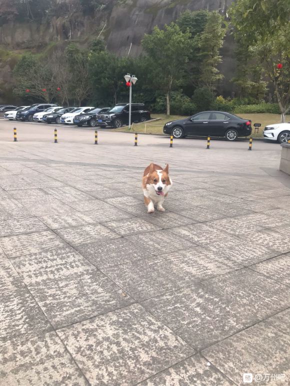 3月15号或者16号有从万州上重庆的没得，可以带两个人，节约-1.jpg