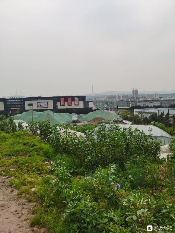 各位大佬们，问下万州城区附近哪里有河沟可以摸虾米的，黑壳虾那-2.jpg