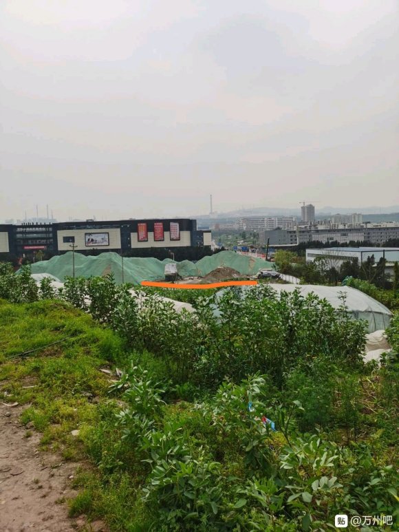 各位大佬们，问下万州城区附近哪里有河沟可以摸虾米的，黑壳虾那-1.jpg