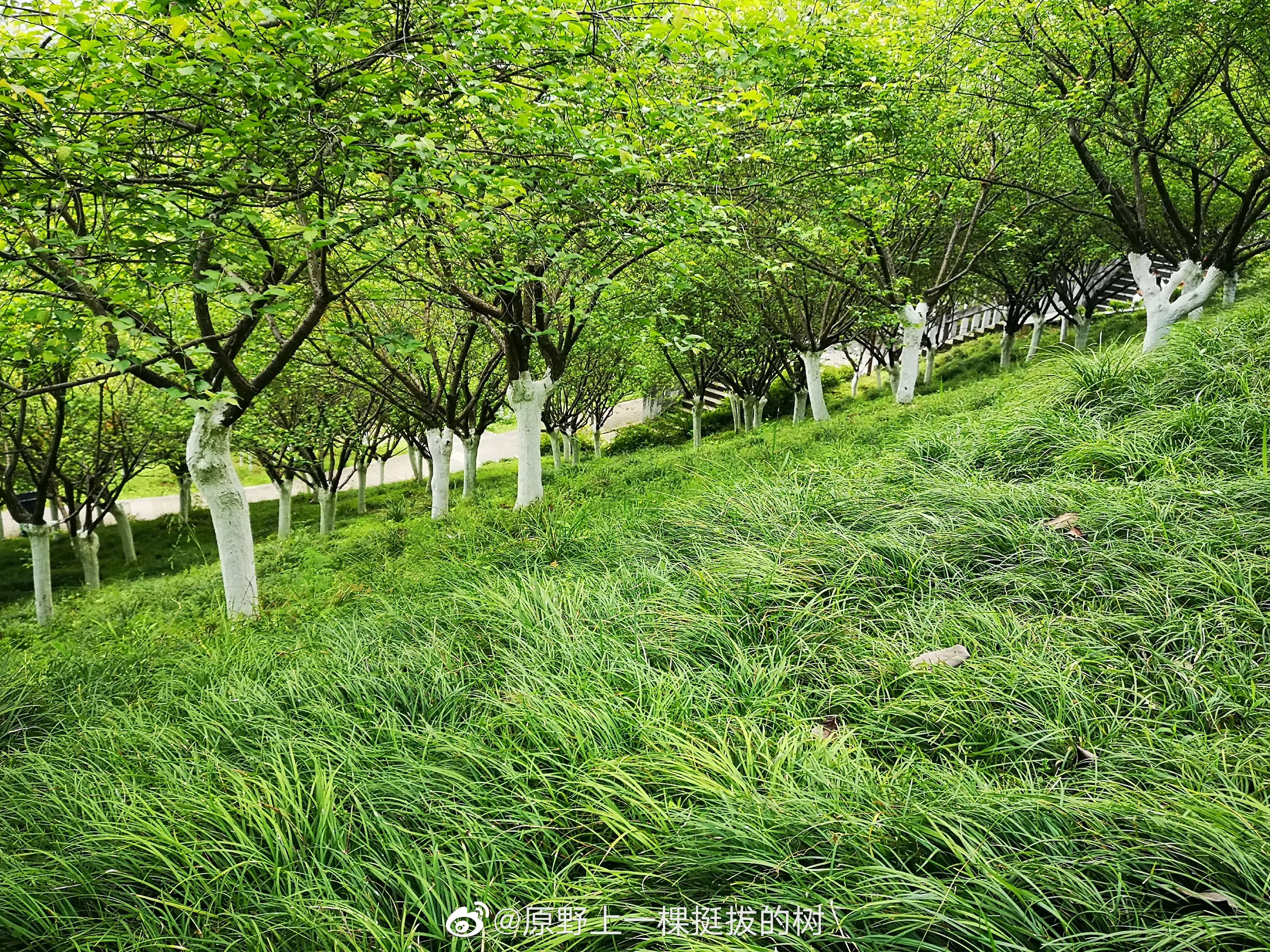 654a590bly1gdk587lg04j22tc2407wn.jpg