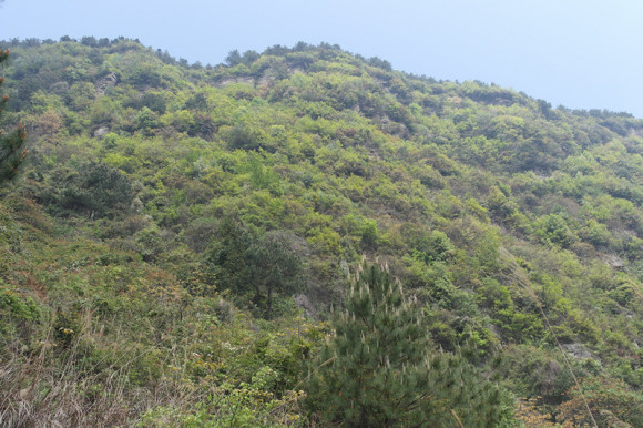 我是来爆照的！！！万州贝壳山（露营）速度围观 ~-2.jpg