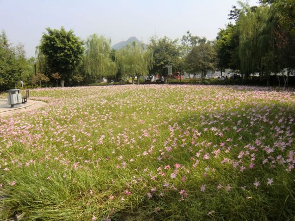 万州各地实景随拍，不定时更新！-4.jpg