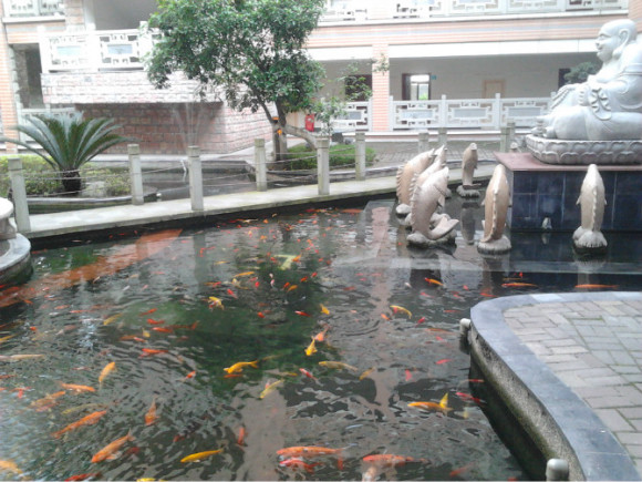 万州各地实景随拍，不定时更新！-2.jpg