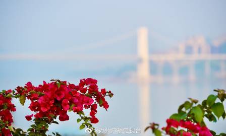大万州美景