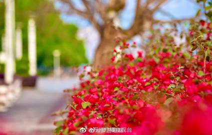 大万州美景