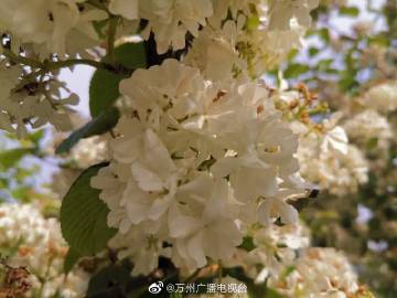 df709993ly1geggaot7j7j20m80gognd.jpg